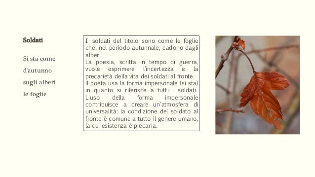 Si Sta Come D'autunno Sugli Alberi Le Foglie Wikipedia Giuseppe Ungaretti