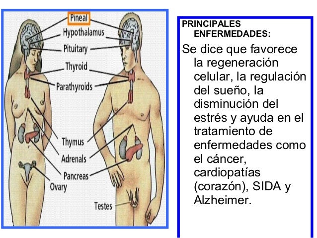 Hay cuanto un blanqueamiento de la persona en el salón