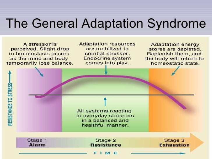 general adaption syndrome The general adaptation syndrome psychology essay selye called these effects the general adaptation syndrome initially and later used the term in general, pre. general adaption syndrome The general adaptation syndrome psychology essay selye called these effects the general adaptation syndrome initially and later used the term in general, pre.