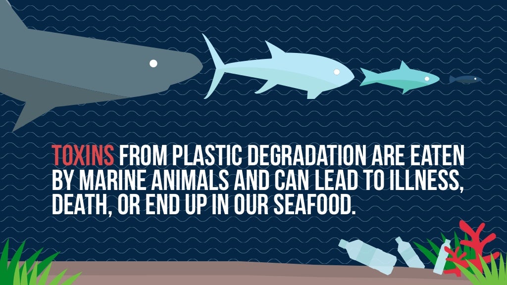 Toxins from plastic degradation are