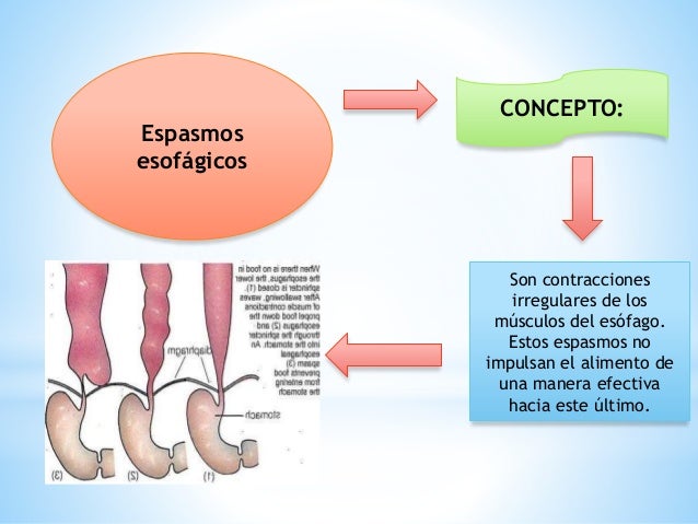 cuanto puedo adelgazar sin comer 3 dias cuanto puedo adelgazar sin comer 3 dias