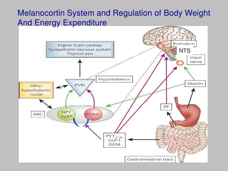 Communication on this topic: Ankylosing Spondylitis and Fatigue: Bill’s Story, ankylosing-spondylitis-and-fatigue-bills-story/ Forum on this topic: Ankylosing Spondylitis and Fatigue: Bill’s Story, ankylosing-spondylitis-and-fatigue-bills-story/