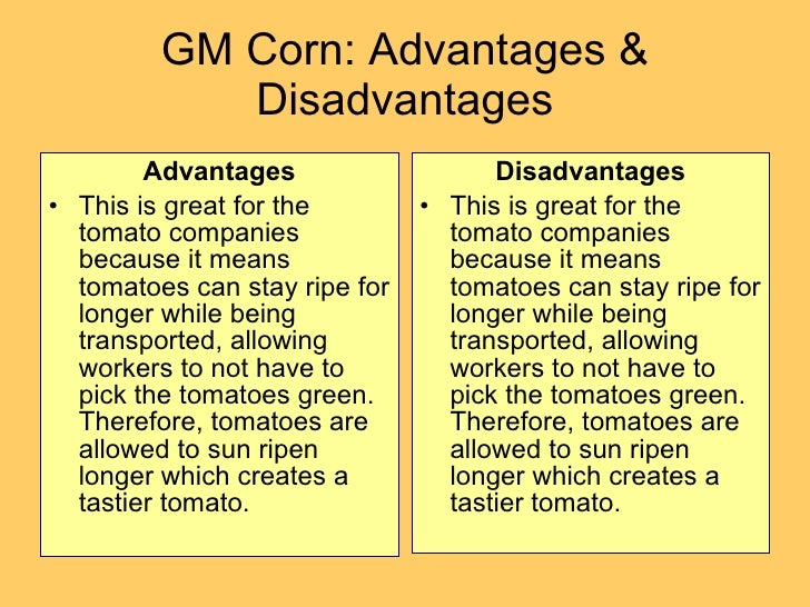 Major Modified Crops