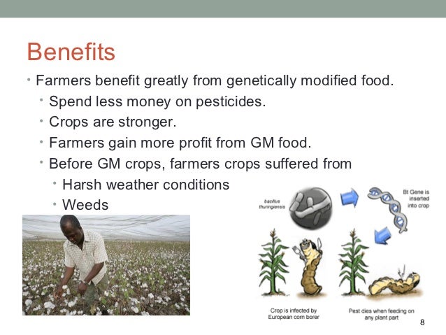 Marijuana Essay Outline Essays On Genetically Modified Crops And Food Security Advanced English Essay also Essay For India Essays On Genetically Modified Crops And Food Security College Paper Teenage Drinking Essay