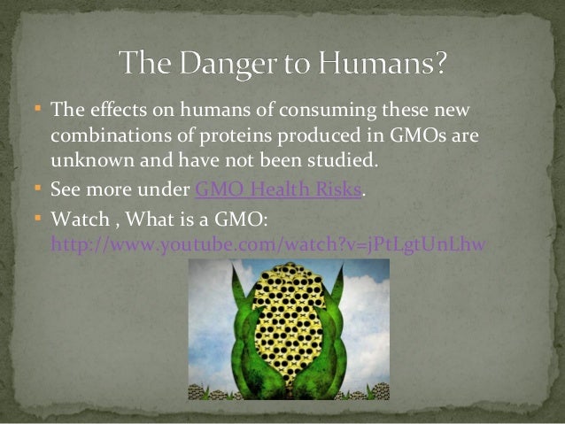the danger of genetically modified organisms essay the danger of genetically modified organisms essay