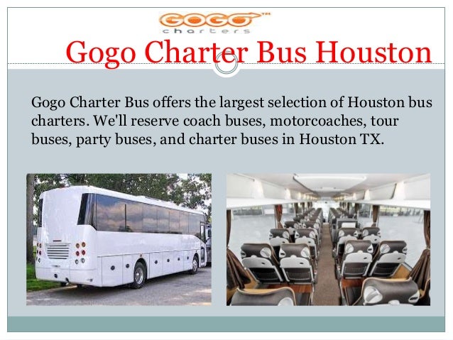 Gogo Bus Tours Gogo Bus Tours