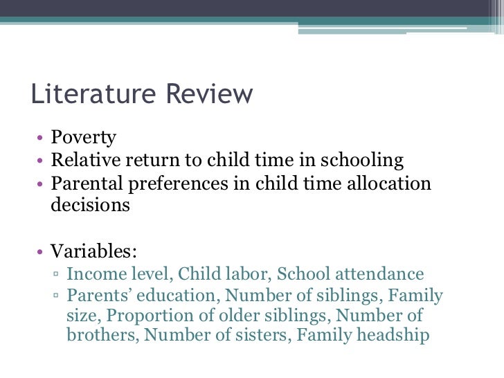 Poverty Literature Review
