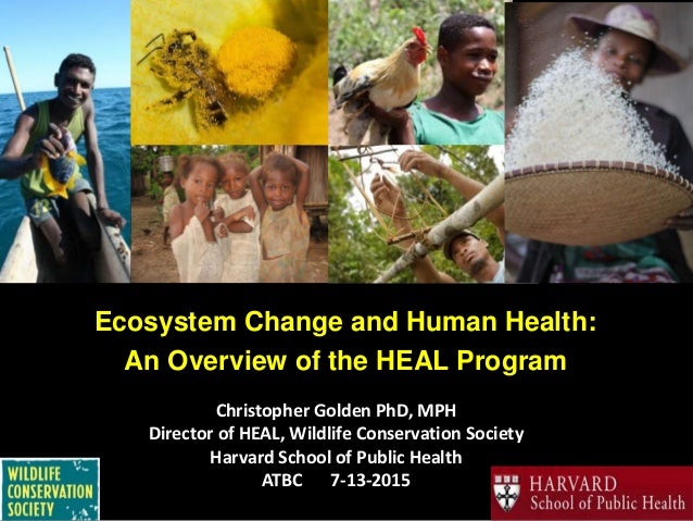 Masters public health coursework