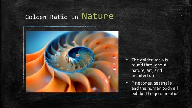 essays on the golden ratio The golden ratio is the most beautiful number we may ever see we know that sounds a little over the top, but really, everything looks better when the golden ratio is applied. essays on the golden ratio The golden ratio is the most beautiful number we may ever see we know that sounds a little over the top, but really, everything looks better when the golden ratio is applied.