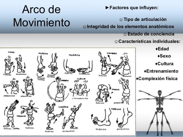 Goniometria, Miembro Superior