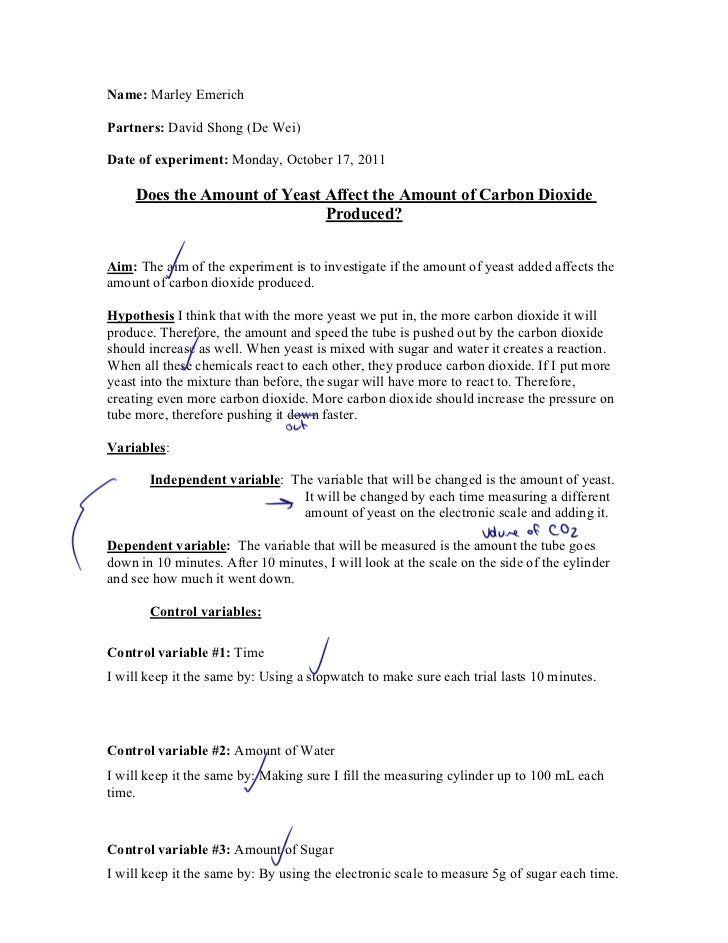 cellular respiration lab report Report abuse transcript of cellular respiration lab the purpose of part one of the lab is to study cellular respiration in germinating versus non-germinating. cellular respiration lab report Report abuse transcript of cellular respiration lab the purpose of part one of the lab is to study cellular respiration in germinating versus non-germinating.