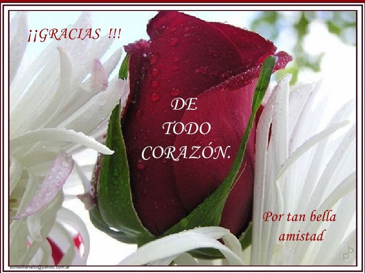 gracias-de-corazon--