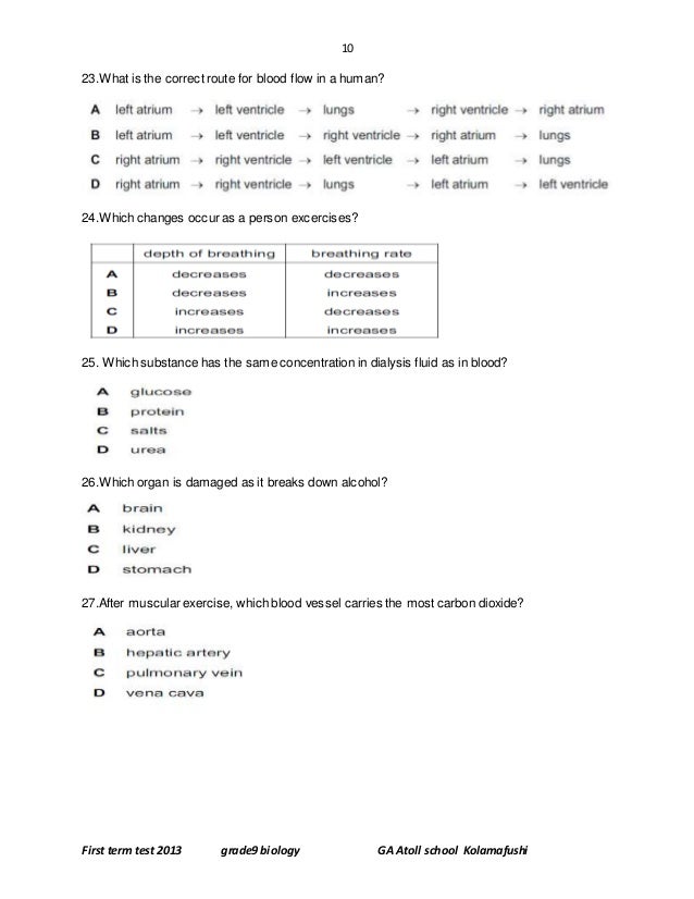 term paper topic ideas Order a high-quality custom term paper on any term paper topic all term papers and research papers are prepared by professional academic writers plagiarism-free and. term paper topic ideas Order a high-quality custom term paper on any term paper topic all term papers and research papers are prepared by professional academic writers plagiarism-free and.