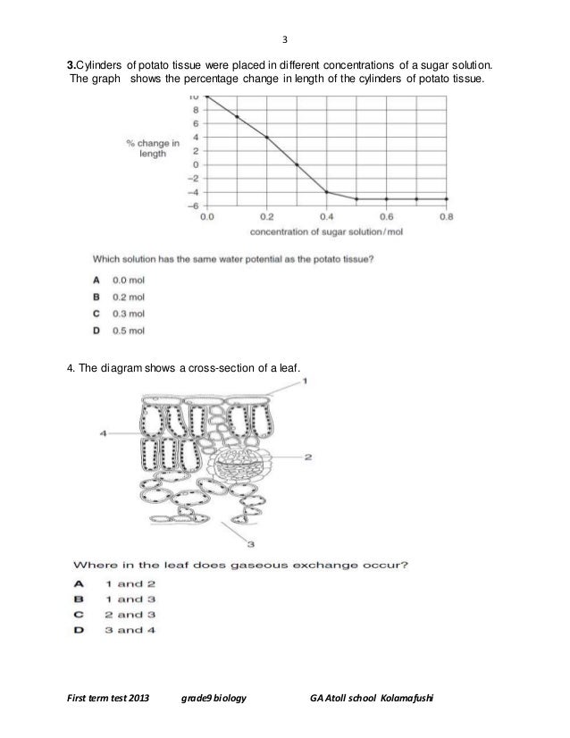 biology term test papers Free kcse past papers-we empower students below access free biology 2018 scheme of work for form one term one , two 2017 kcse trial exam set 3. biology term test papers Free kcse past papers-we empower students below access free biology 2018 scheme of work for form one term one , two 2017 kcse trial exam set 3.