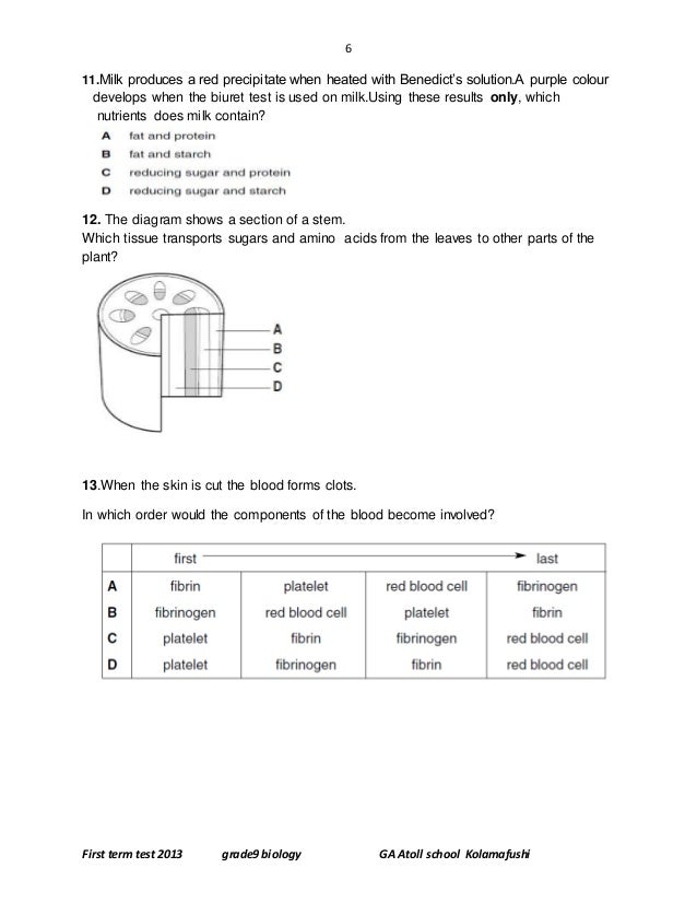 model english papers for grade 6 model english papers for grade 6
