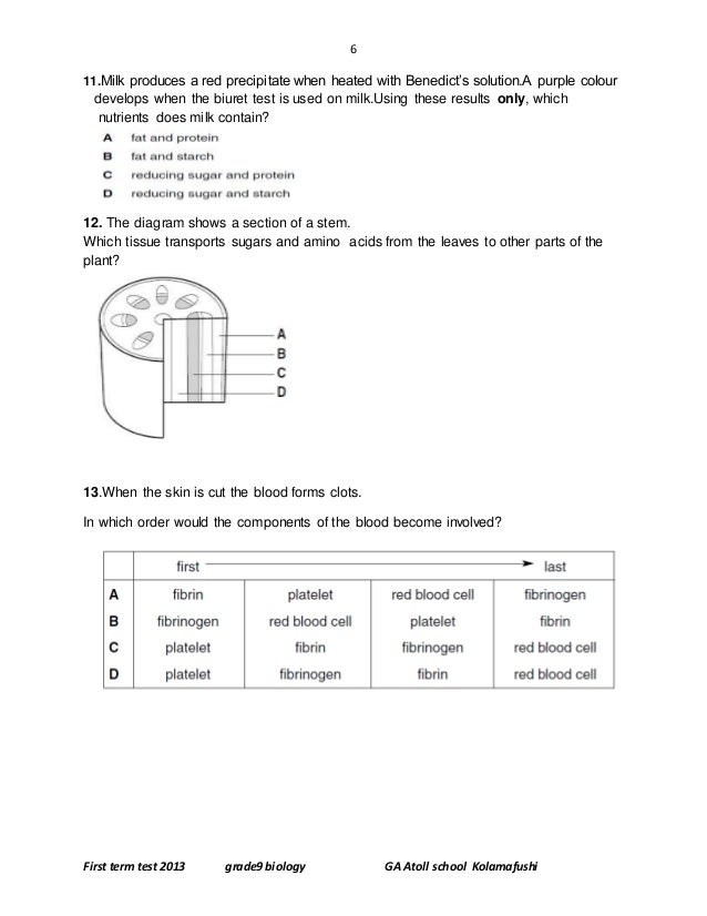 Abortion research paper questions