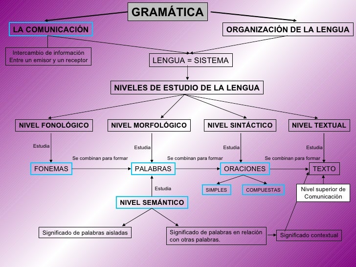 GRAMATICA DE USO DE LA LENGUA gramatica de uso de la lengua: