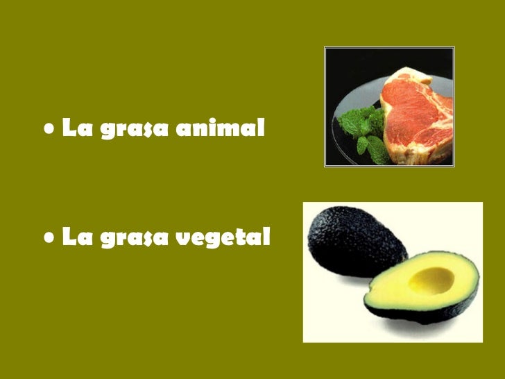 Grasas Y Aceites