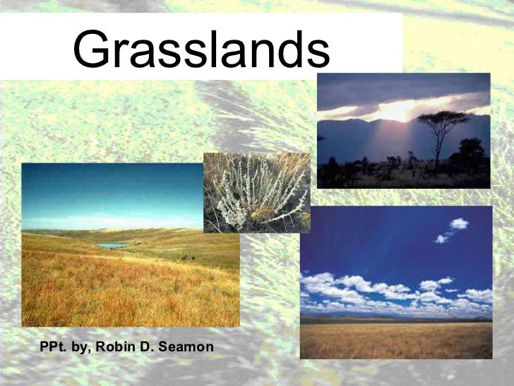 Grassland notes Notes on world's grassland types & organisms' adapt…