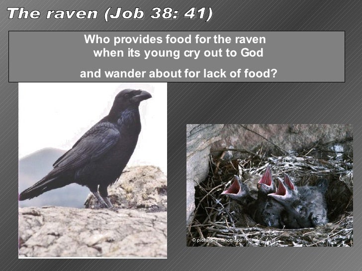 greatnets-of-god-1-eng