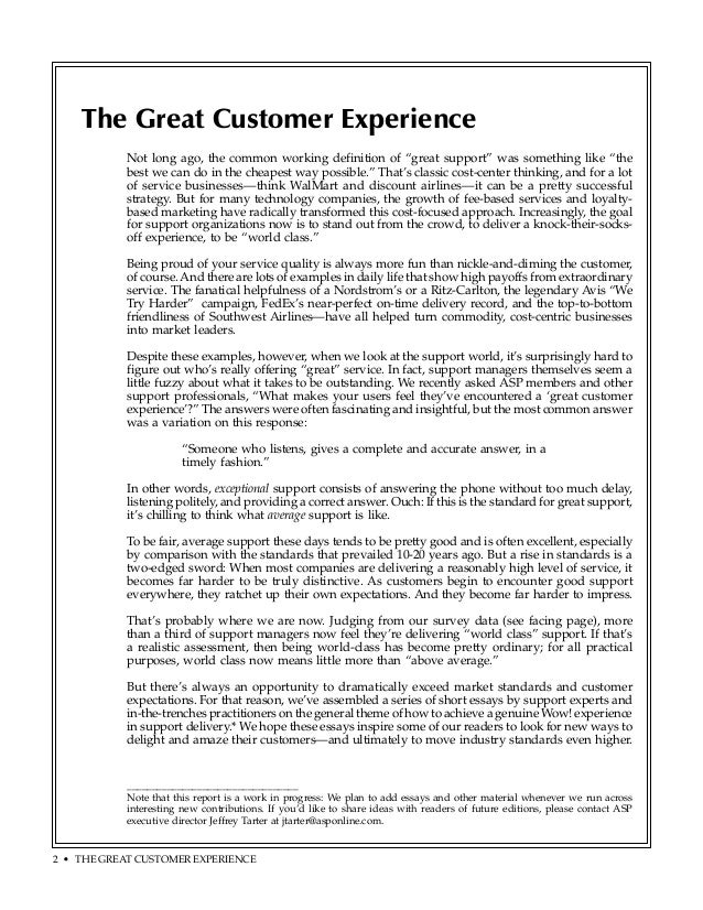 Customer essay
