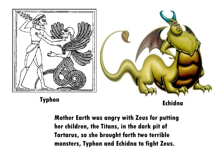 Echidna And Typ...