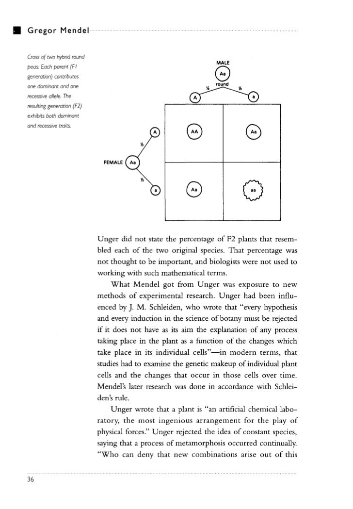 gregor johan mendel essay Science essays: gregor mendel genius of genetics search browse essays join now login support tweet browse essays / science gregor mendel genius of genetics this research paper gregor mendel genius of genetics and other 63,000+ term his given name was johann he was the son of a. gregor johan mendel essay Science essays: gregor mendel genius of genetics search browse essays join now login support tweet browse essays / science gregor mendel genius of genetics this research paper gregor mendel genius of genetics and other 63,000+ term his given name was johann he was the son of a.