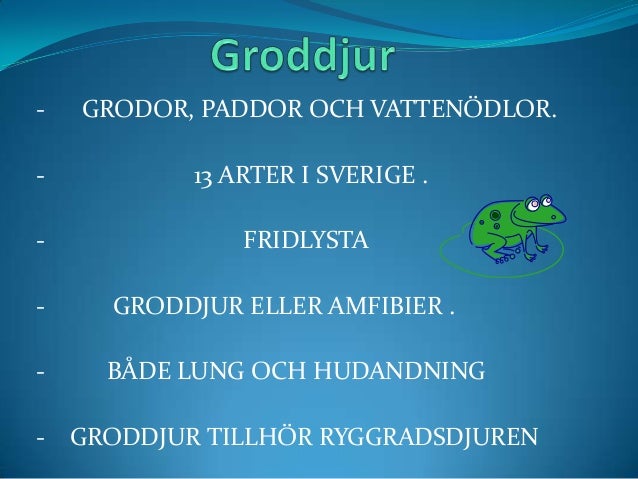 groddjur groddjur