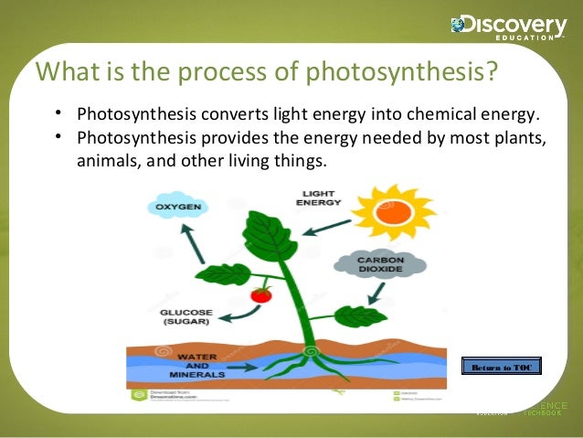the process of photosynthesis Photosynthesis is a process in which green plants use energy from the sun to transform water, carbon dioxide, and minerals into oxygen and organic compounds. the process of photosynthesis Photosynthesis is a process in which green plants use energy from the sun to transform water, carbon dioxide, and minerals into oxygen and organic compounds.