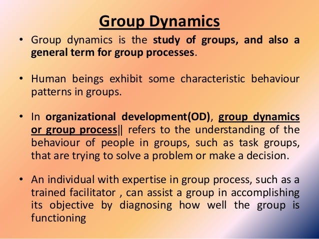Group dynamics essay