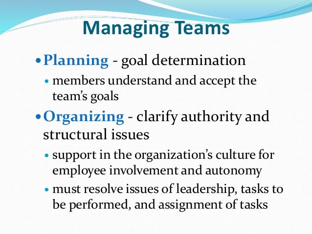 Effective team and performance management assignment