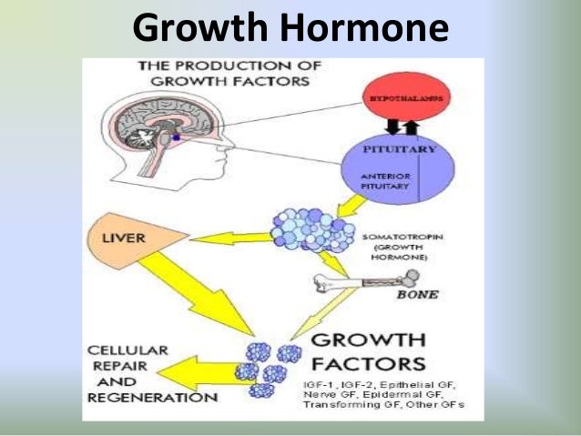 Growth hormone