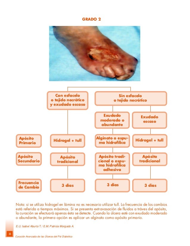 Guíade pie diabético chile