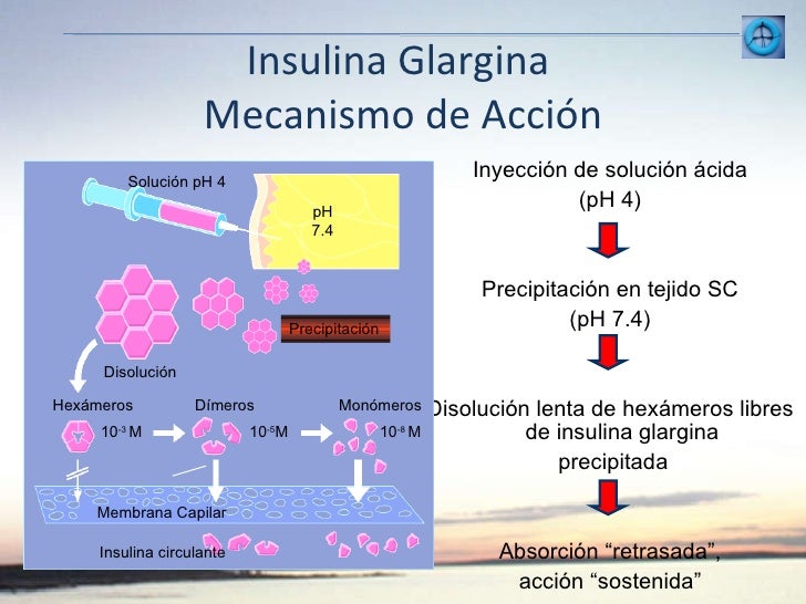 Metformina e insulina nph - Atarax Solution Injectable Metformina e insulina nph - Atarax Solution Injectable