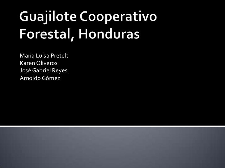 guajilote cooperativo forestal Guajilote cooperativo forestal, honduras guajilote cooperativo forestal was a cooperative with operations outside of chaparral, a small village located in la muralla national park in olancho province, honduras. guajilote cooperativo forestal Guajilote cooperativo forestal, honduras guajilote cooperativo forestal was a cooperative with operations outside of chaparral, a small village located in la muralla national park in olancho province, honduras.