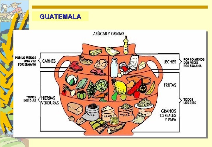 cadenas alimentarias guia gu 237 as alimentarias cadenas alimentarias guia gu 237 as alimentarias