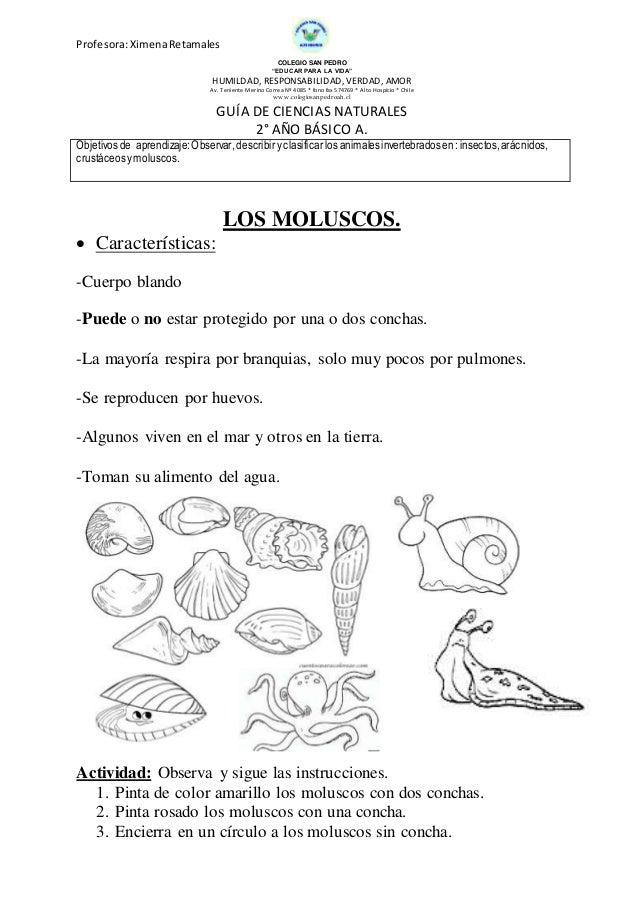 Si pueden ser las lombrices al chiquitín por año