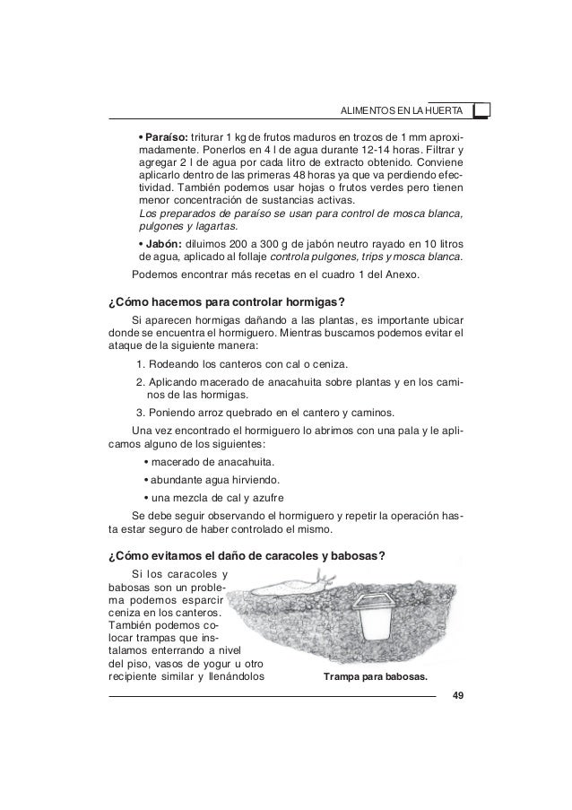 El ajo el tratamiento del hongo de las uñas