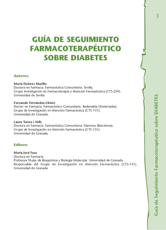 Guia diabetes mellitus tipo 2 Guia diabetes mellitus tipo 2