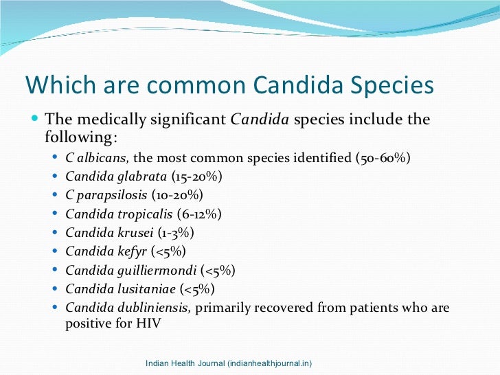 Yeast infection urgency urinate, vulvovaginal candidiasis abstract