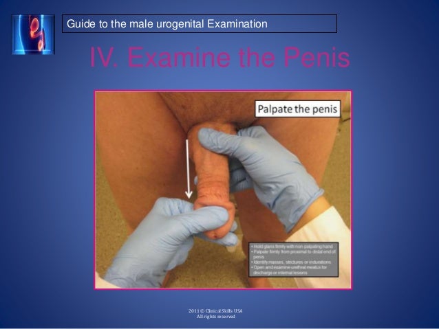 Male Penis Exam Video 98