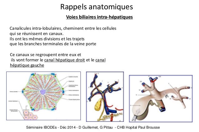 Bad pour la varicosité