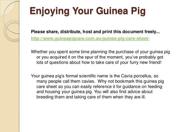 Guinea Pig Care Sheet Slideshow