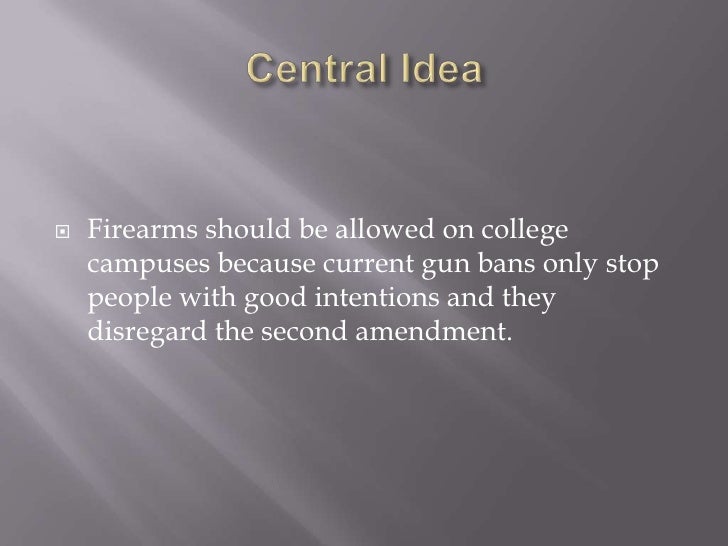 argumentative essay second amendment