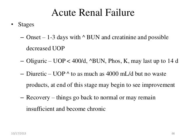 Kidney Failure Oliguric Phase