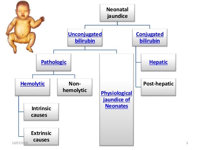 pathological jaundice newborn pathological jaundice newborn