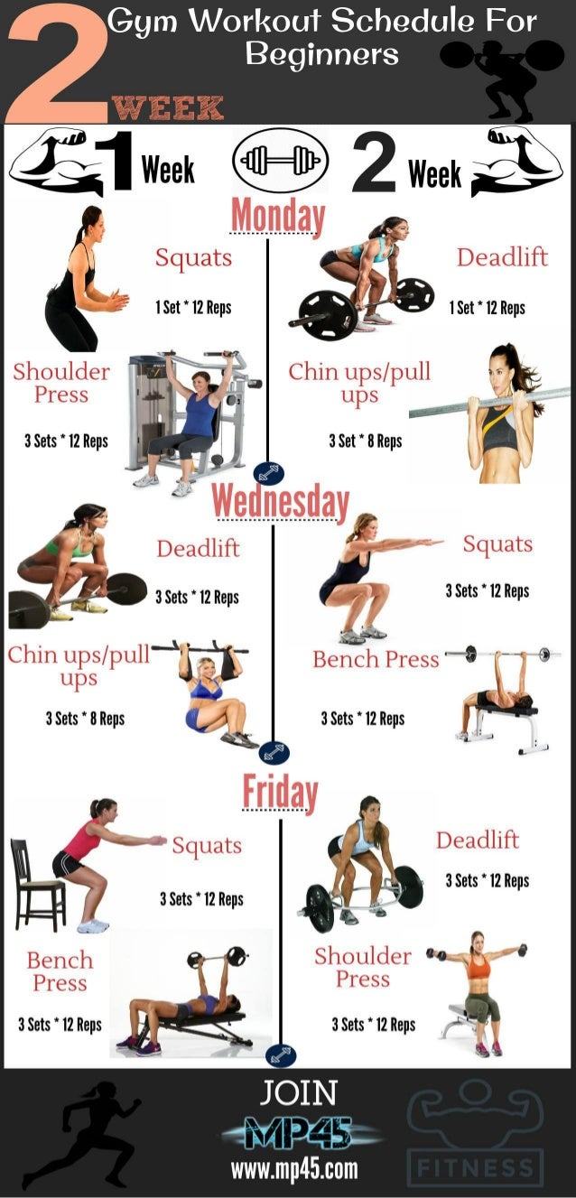 Gym Workout Schedule For Beginners Gym Workout Schedule For Beginners