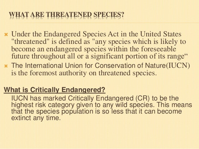 Endangered Species Essay