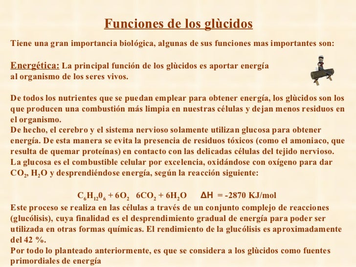 Las plantas medicinales el tratamiento del alcoholismo