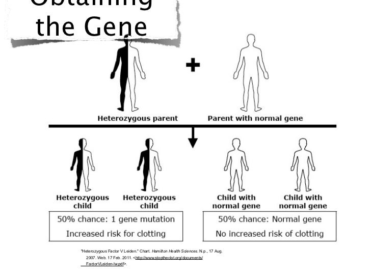 Factor V Leiden